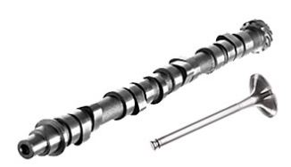 Торгова марка AE