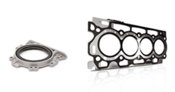 Торгова марка Payen