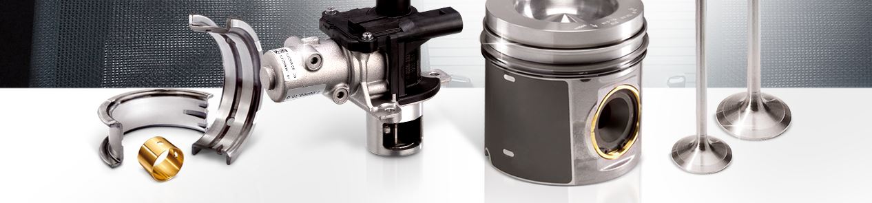 Motorservice Group — KS / Pierburg / TRW, Німеччина